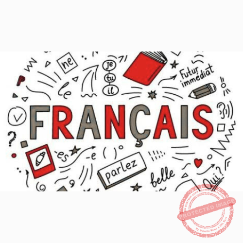 httpslingorelic.comself-paced-course