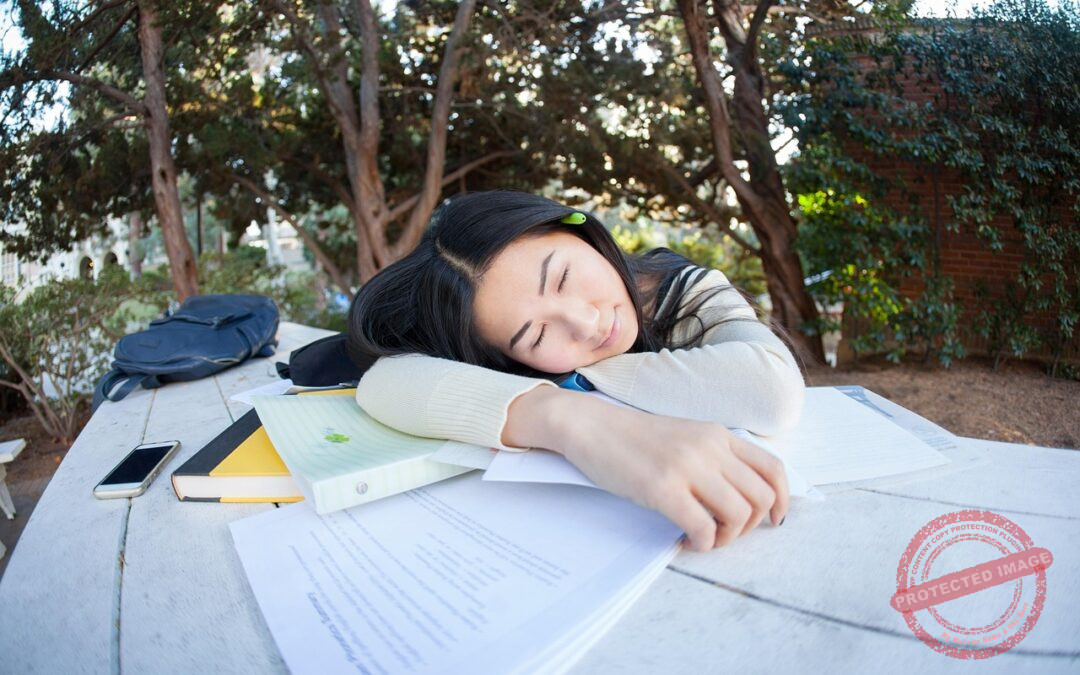 TCF Canada Expression Orale (Section C) Les voyages en avion