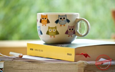 TCF Canada : Expression Orale (Section B) : Transports en commun de la ville