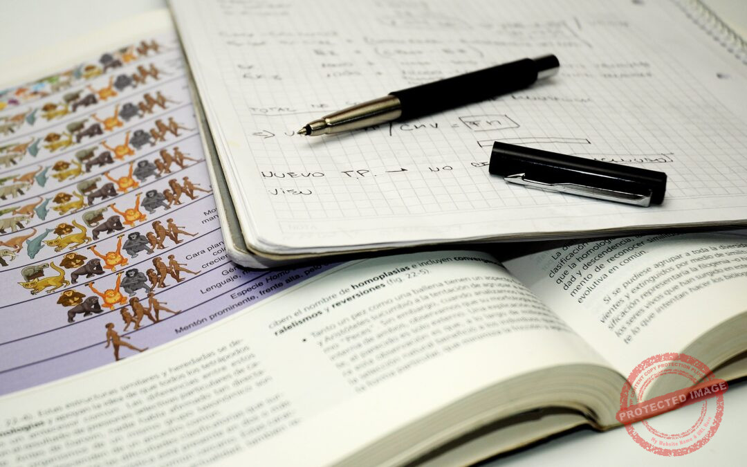 Why TEF Canada / TCF Canada Preparation Feels Never-Ending (And Why That’s Actually Normal)