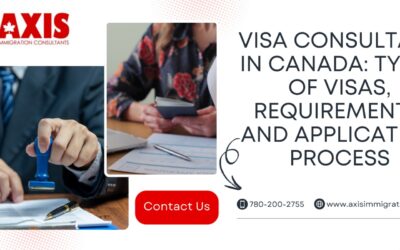 Visa Consultant in Canada: Types of Visas, Requirements, and Application Process